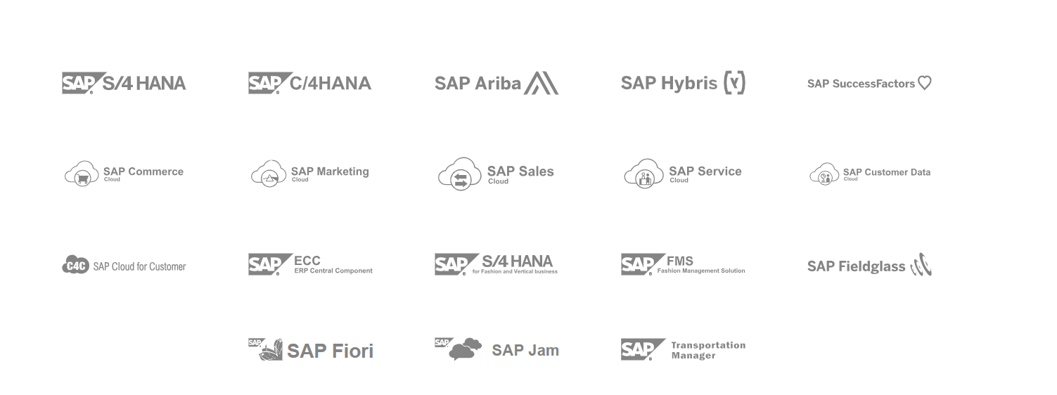 SAP Practice Areas